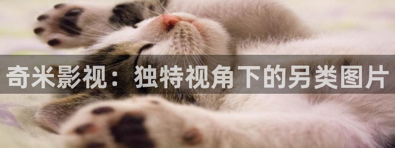 樱桃电影在线观看