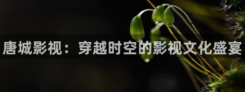 樱桃视频在线观看免费高清