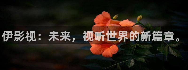 樱桃视频在线观看高清