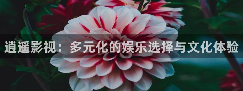 樱桃视频大全在线观看